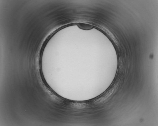 X0000116680939201001111329