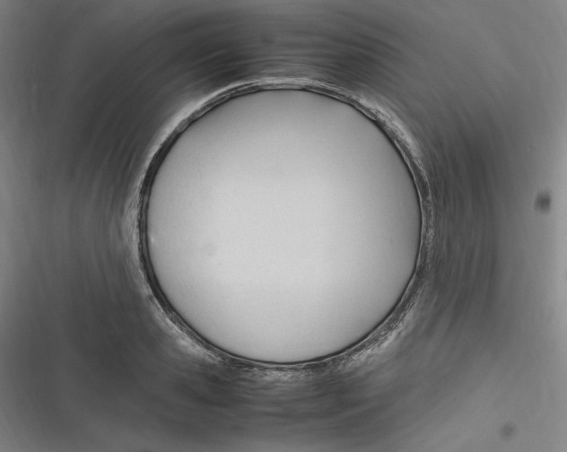 X0000116680941201001111329