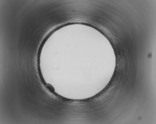 X0000116680942201001111329