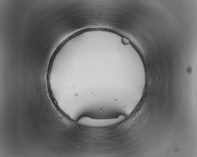 X0000116680943201001111329