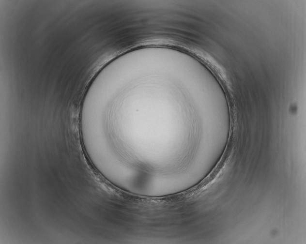 X0000116680945201001111329