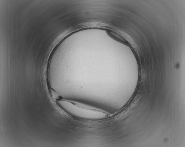 X0000116680946201001111329