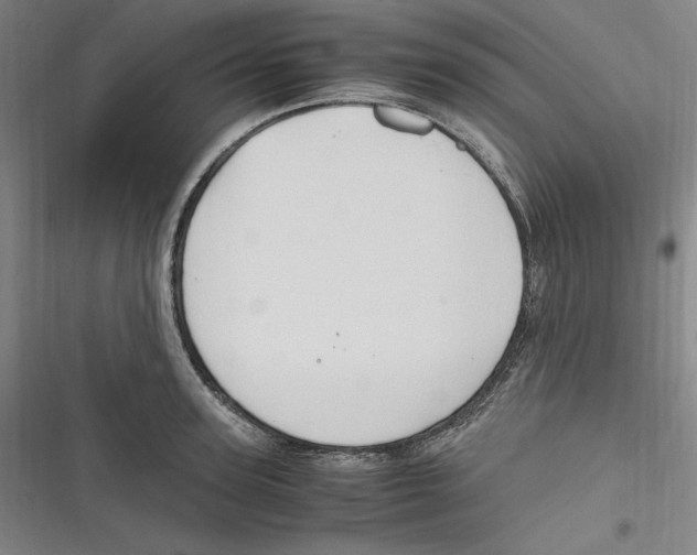 X0000116680947201001111329