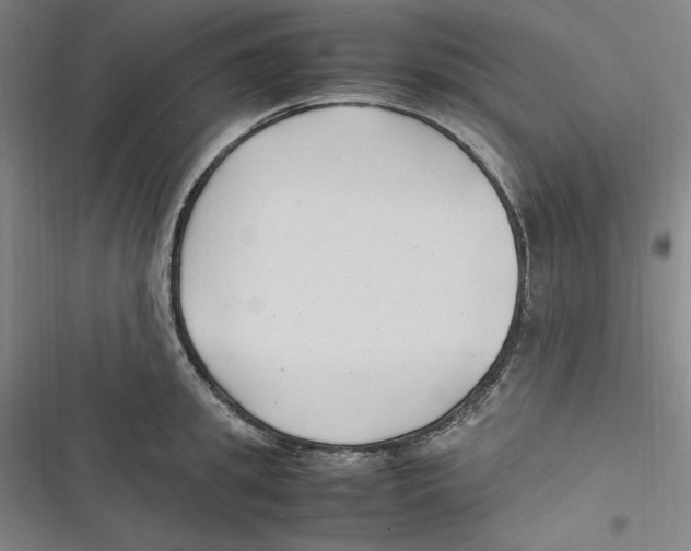 X0000116680949201001111329