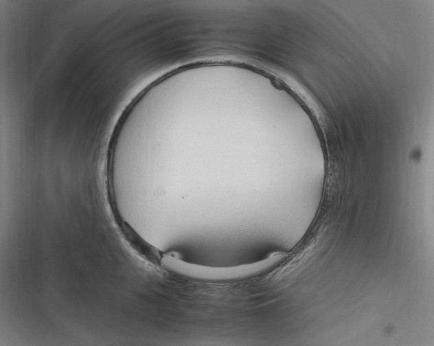 X0000116680951201001111329