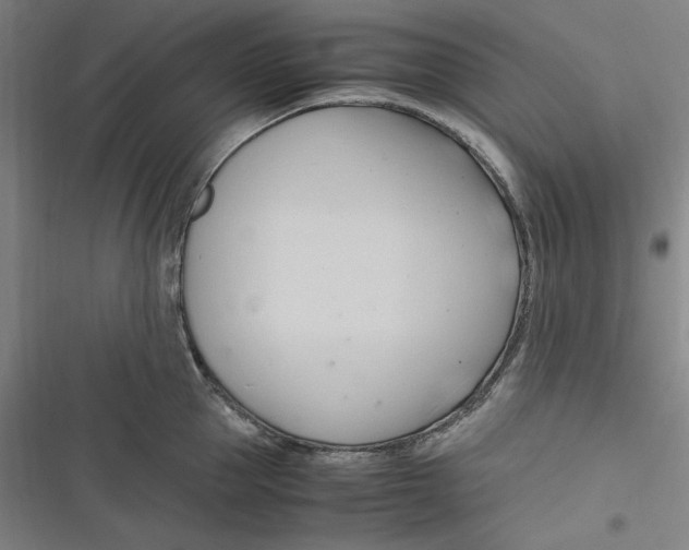 X0000116680953201001111329