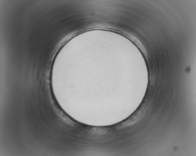 X0000116680954201001111329