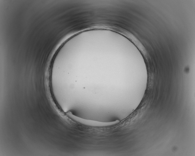 X0000116680955201001111329