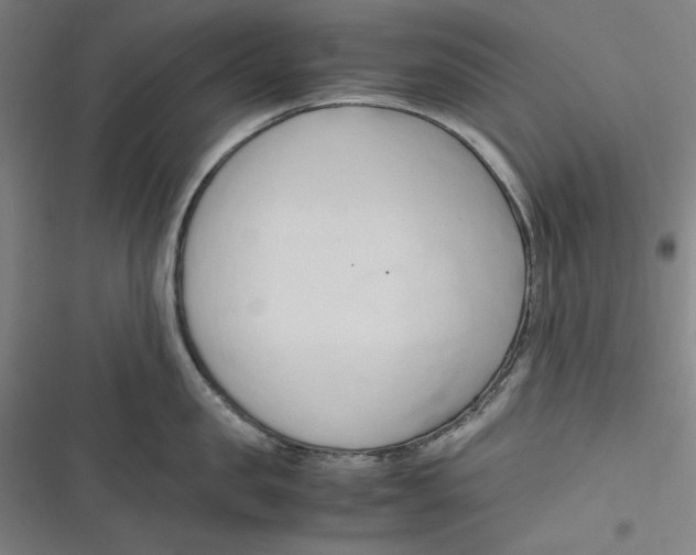 X0000116680957201001111329