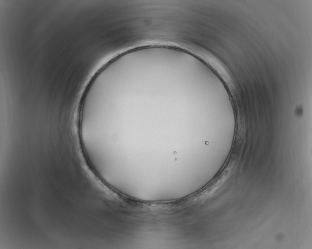 X0000116680958201001111329