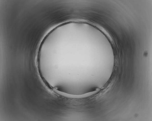 X0000116680959201001111329