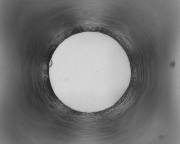 X0000116680964201001111328