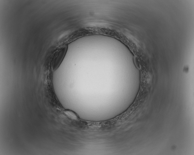 X0000116680965201001111328