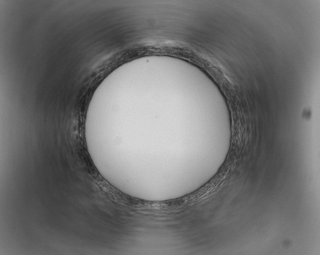 X0000116680966201001111328