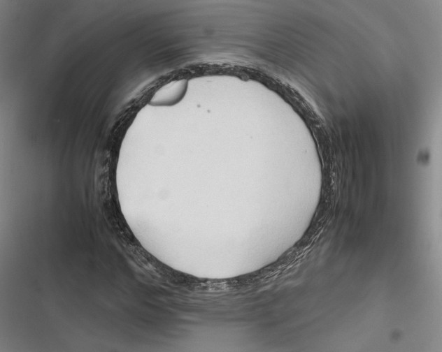 X0000116680968201001111328