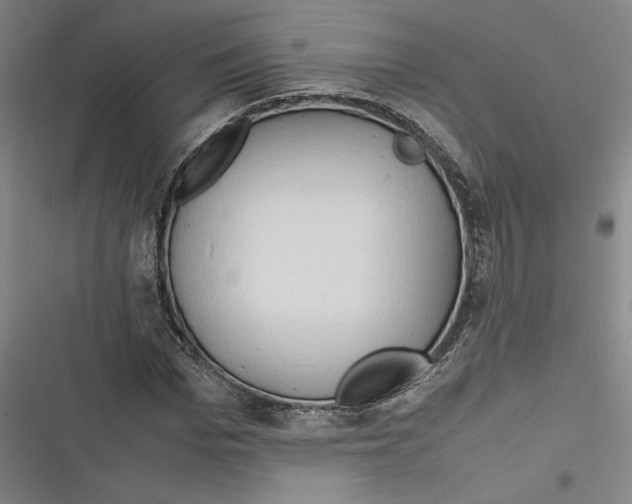 X0000116680969201001111328