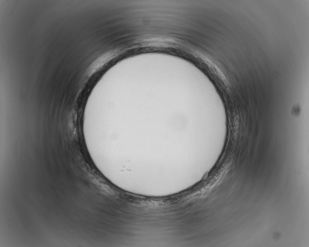 X0000116680970201001111328