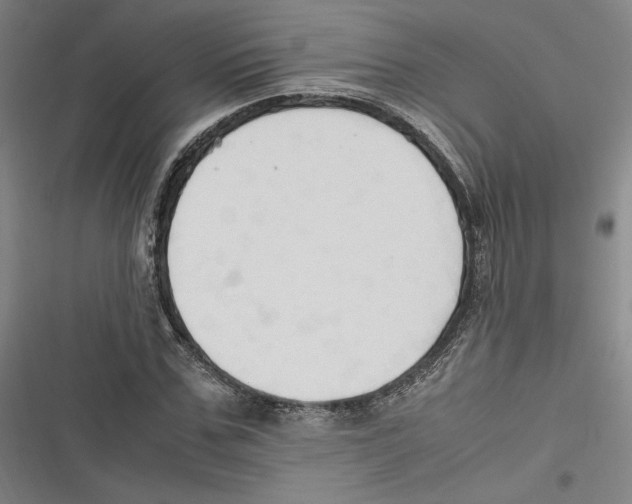 X0000116680971201001111328