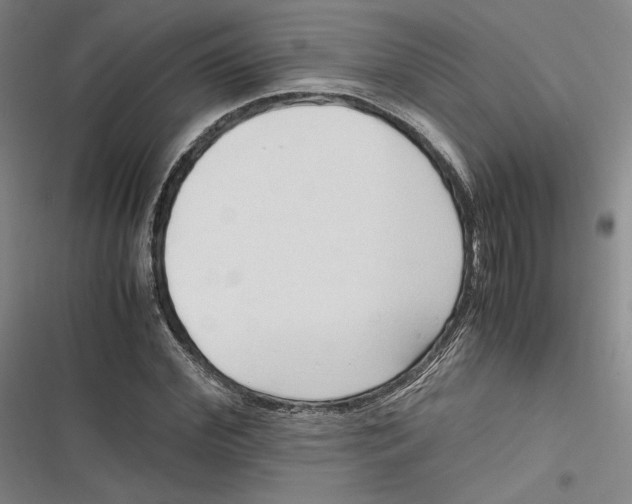 X0000116680972201001111328