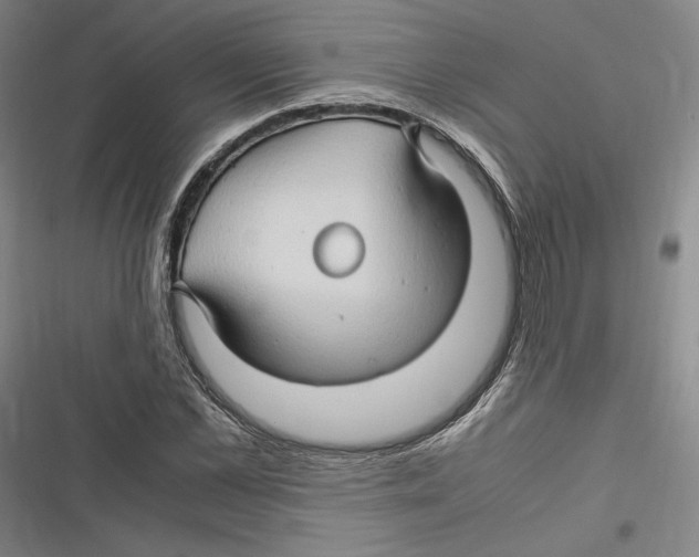 X0000116680973201001111328