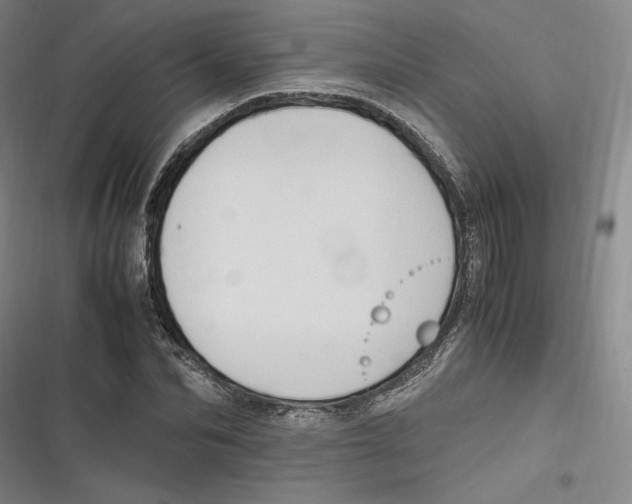 X0000116680974201001111328