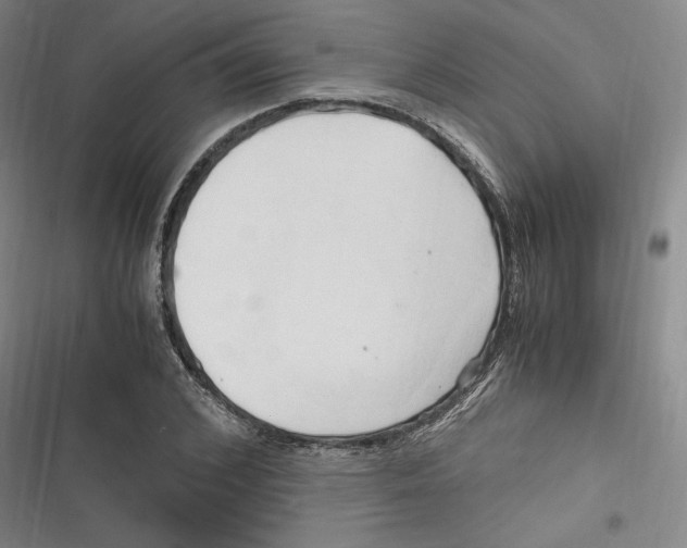 X0000116680976201001111328