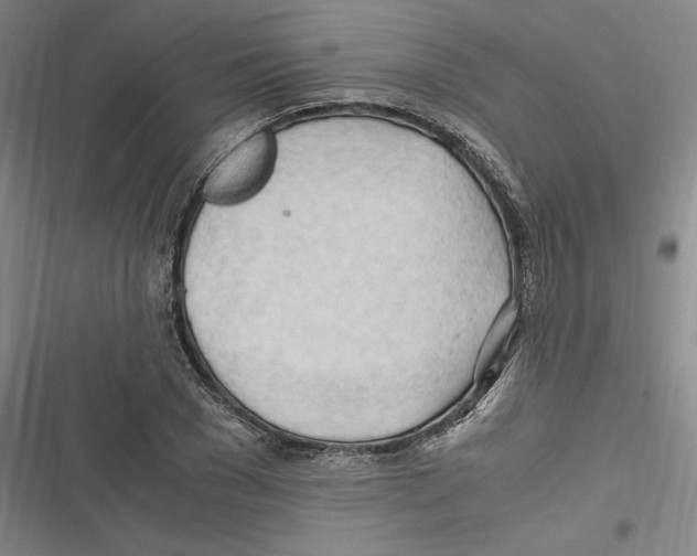 X0000116680977201001111328