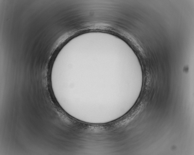 X0000116680978201001111328