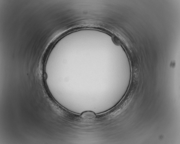 X0000116680981201001111328