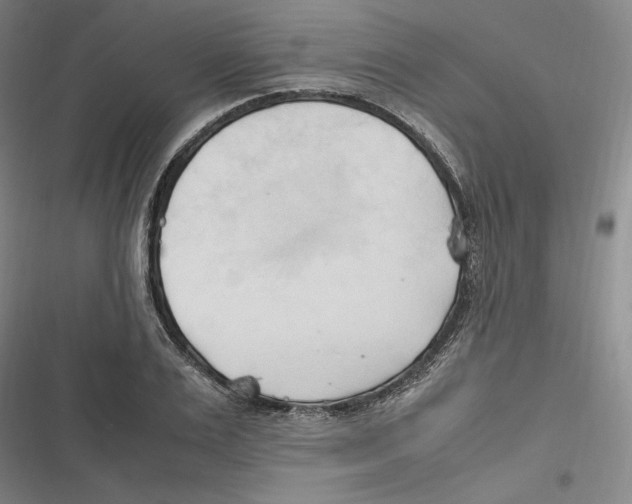 X0000116680983201001111328