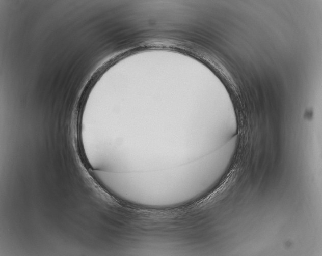 X0000116680984201001111328