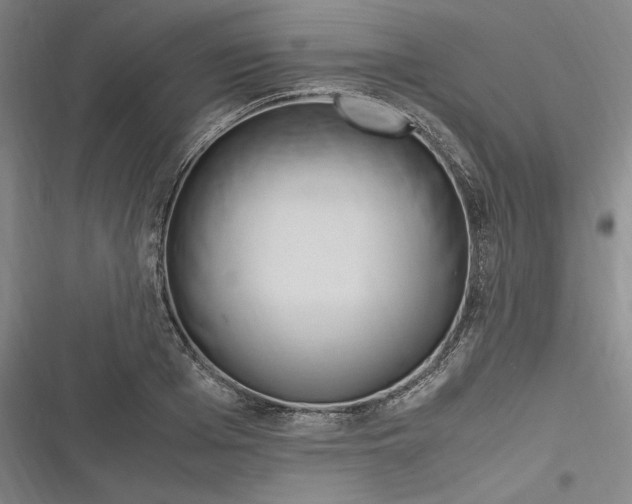 X0000116680985201001111328