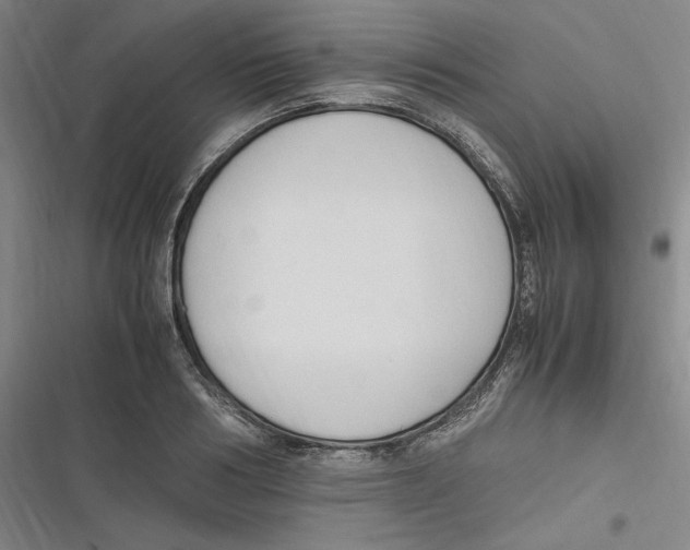 X0000116680986201001111328