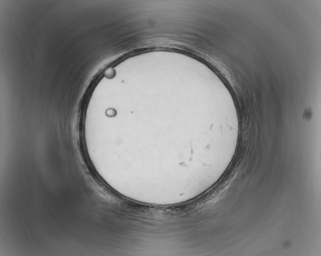 X0000116680987201001111328