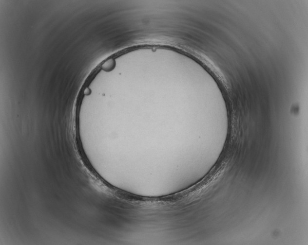 X0000116680988201001111328