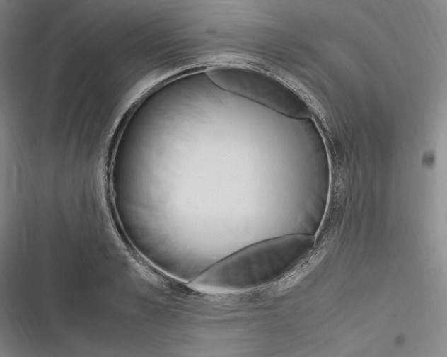 X0000116680989201001111328