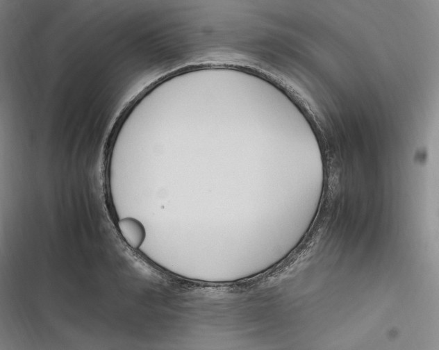 X0000116680990201001111328