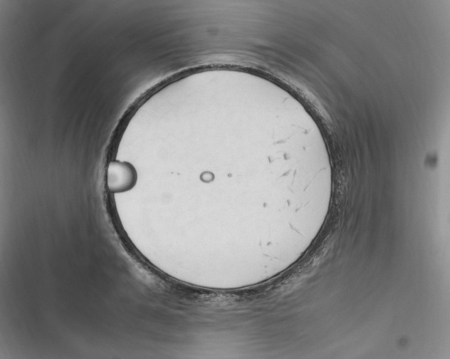 X0000116680991201001111328