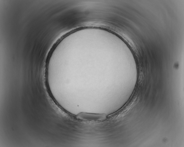 X0000116680992201001111328