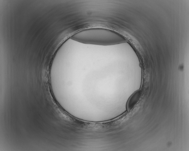 X0000116680993201001111328