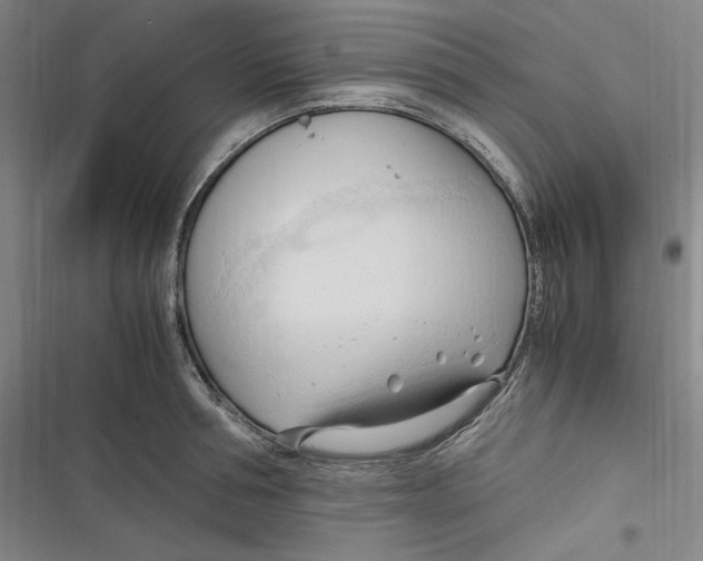 X0000116680994201001111328