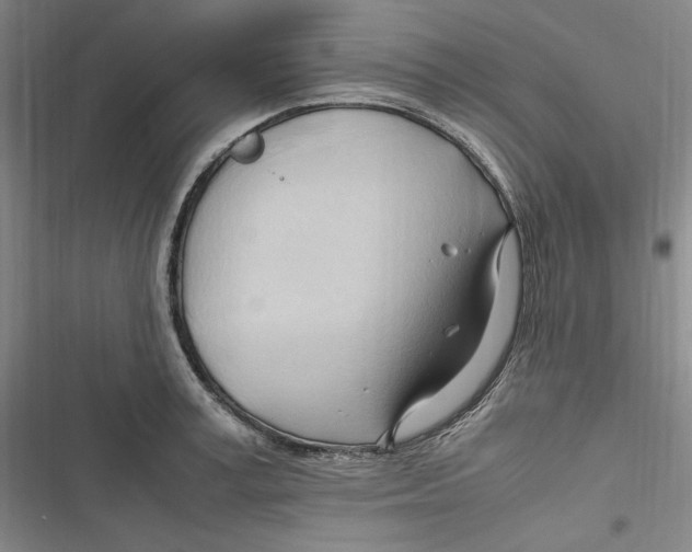 X0000116680995201001111328