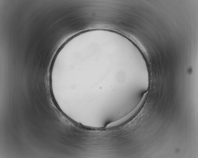 X0000116680996201001111328