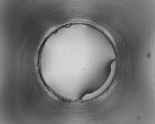 X0000116680997201001111328