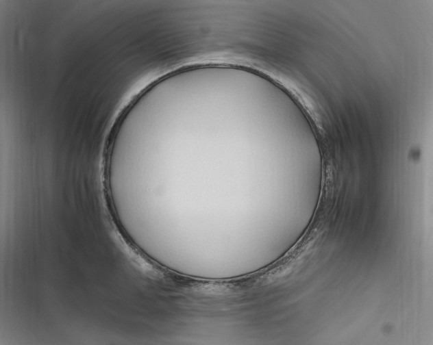 X0000116680998201001111328