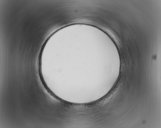 X0000116680999201001111328