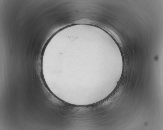 X0000116681000201001111328