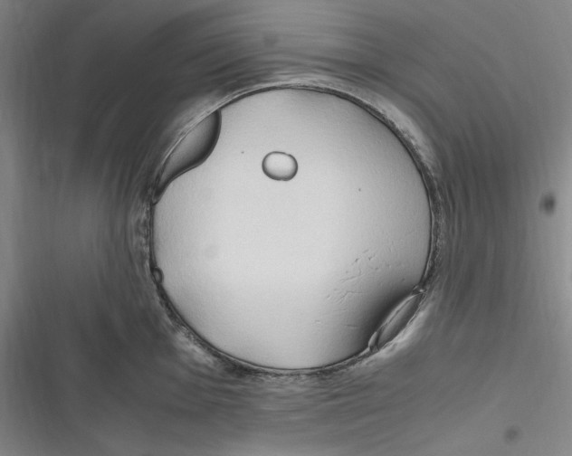 X0000116681001201001111328