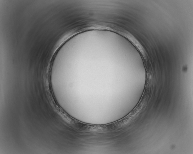 X0000116681002201001111328