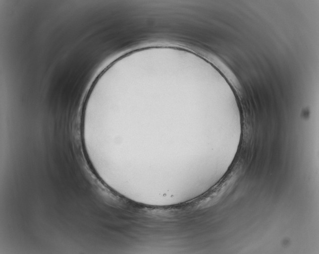 X0000116681004201001111328